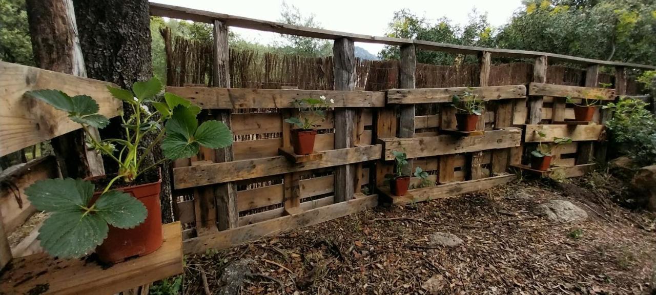 Villa A Volta Urtaca Esterno foto
